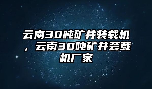 云南30噸礦井裝載機(jī)，云南30噸礦井裝載機(jī)廠家