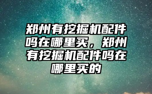 鄭州有挖掘機(jī)配件嗎在哪里買，鄭州有挖掘機(jī)配件嗎在哪里買的