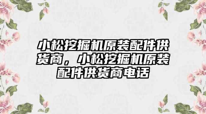 小松挖掘機(jī)原裝配件供貨商，小松挖掘機(jī)原裝配件供貨商電話