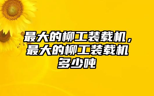 最大的柳工裝載機(jī)，最大的柳工裝載機(jī)多少?lài)?/>	
								</i>
								<p class=