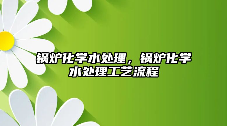 鍋爐化學(xué)水處理，鍋爐化學(xué)水處理工藝流程