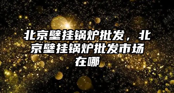 北京壁掛鍋爐批發(fā)，北京壁掛鍋爐批發(fā)市場在哪