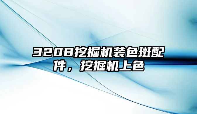 320B挖掘機裝色斑配件，挖掘機上色