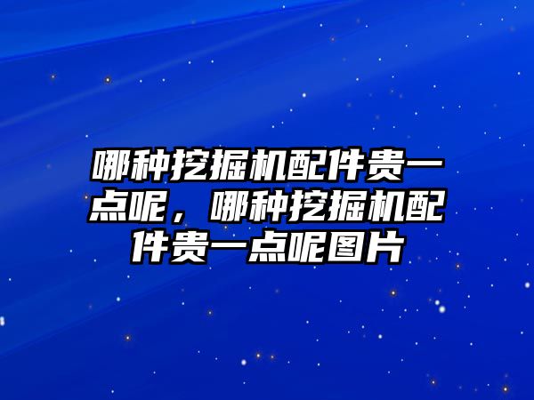 哪種挖掘機配件貴一點呢，哪種挖掘機配件貴一點呢圖片