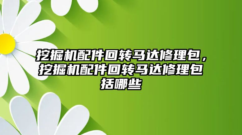 挖掘機配件回轉馬達修理包，挖掘機配件回轉馬達修理包括哪些