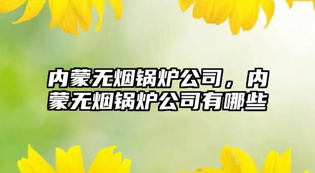 內(nèi)蒙無煙鍋爐公司，內(nèi)蒙無煙鍋爐公司有哪些