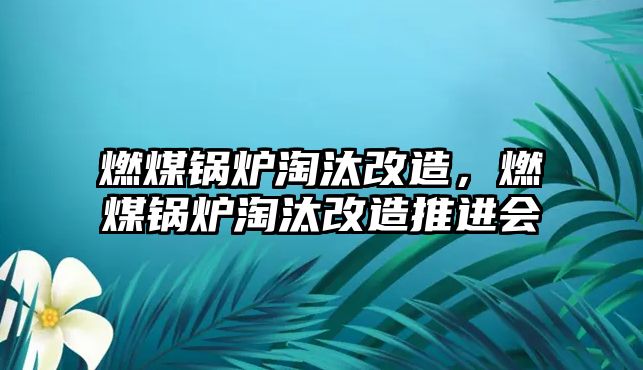 燃煤鍋爐淘汰改造，燃煤鍋爐淘汰改造推進會