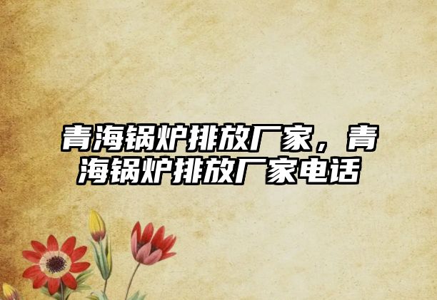 青海鍋爐排放廠家，青海鍋爐排放廠家電話