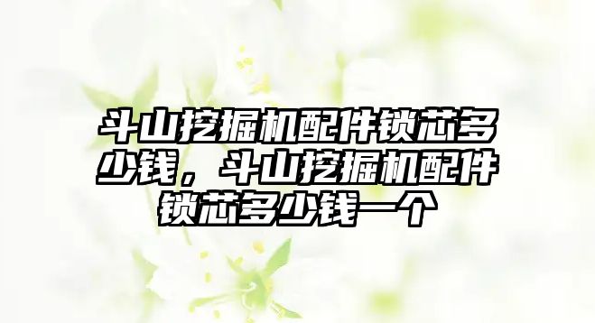 斗山挖掘機配件鎖芯多少錢，斗山挖掘機配件鎖芯多少錢一個