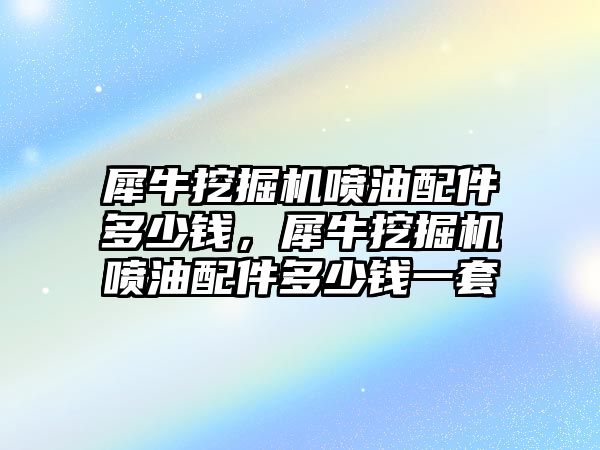 犀牛挖掘機噴油配件多少錢，犀牛挖掘機噴油配件多少錢一套