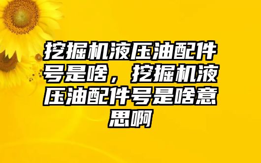 挖掘機(jī)液壓油配件號是啥，挖掘機(jī)液壓油配件號是啥意思啊