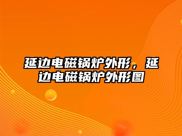 延邊電磁鍋爐外形，延邊電磁鍋爐外形圖