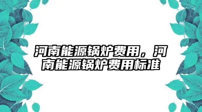 河南能源鍋爐費用，河南能源鍋爐費用標(biāo)準(zhǔn)