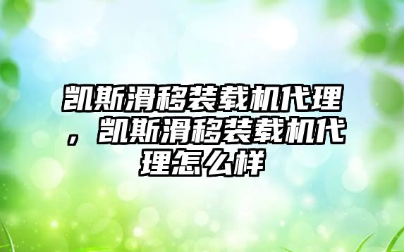 凱斯滑移裝載機代理，凱斯滑移裝載機代理怎么樣