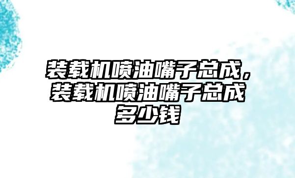 裝載機噴油嘴子總成，裝載機噴油嘴子總成多少錢