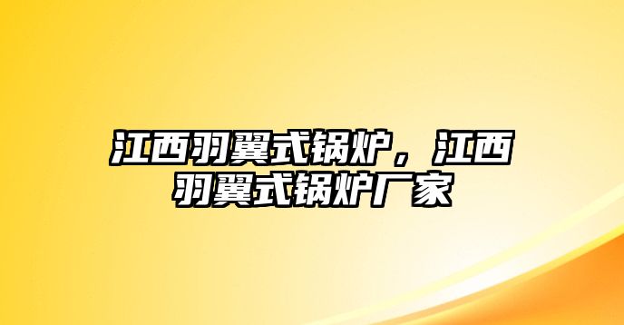 江西羽翼式鍋爐，江西羽翼式鍋爐廠家