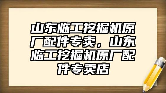 山東臨工挖掘機(jī)原廠配件專賣，山東臨工挖掘機(jī)原廠配件專賣店