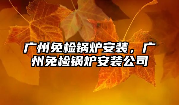 廣州免檢鍋爐安裝，廣州免檢鍋爐安裝公司