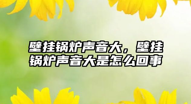 壁掛鍋爐聲音大，壁掛鍋爐聲音大是怎么回事