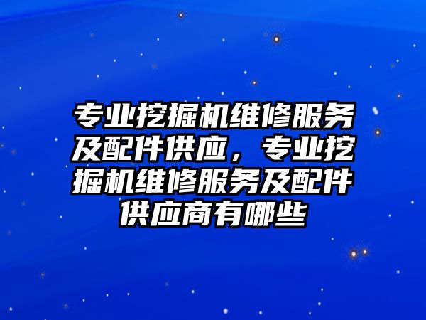 專業(yè)挖掘機維修服務(wù)及配件供應(yīng)，專業(yè)挖掘機維修服務(wù)及配件供應(yīng)商有哪些