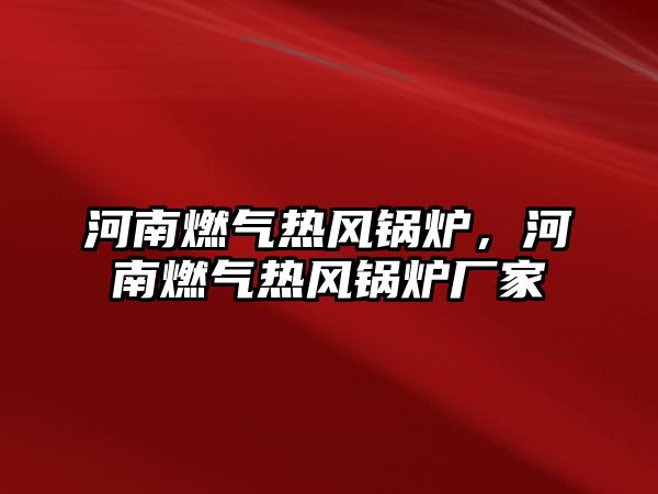 河南燃?xì)鉄犸L(fēng)鍋爐，河南燃?xì)鉄犸L(fēng)鍋爐廠家