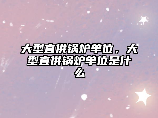 大型直供鍋爐單位，大型直供鍋爐單位是什么