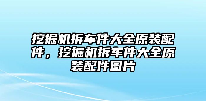 挖掘機(jī)拆車(chē)件大全原裝配件，挖掘機(jī)拆車(chē)件大全原裝配件圖片