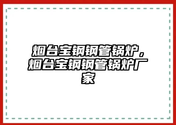 煙臺寶鋼鋼管鍋爐，煙臺寶鋼鋼管鍋爐廠家