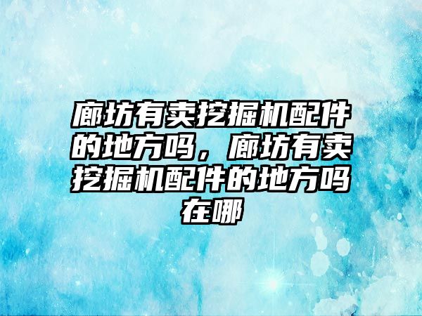 廊坊有賣挖掘機配件的地方嗎，廊坊有賣挖掘機配件的地方嗎在哪