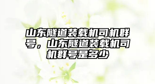 山東隧道裝載機(jī)司機(jī)群號(hào)，山東隧道裝載機(jī)司機(jī)群號(hào)是多少