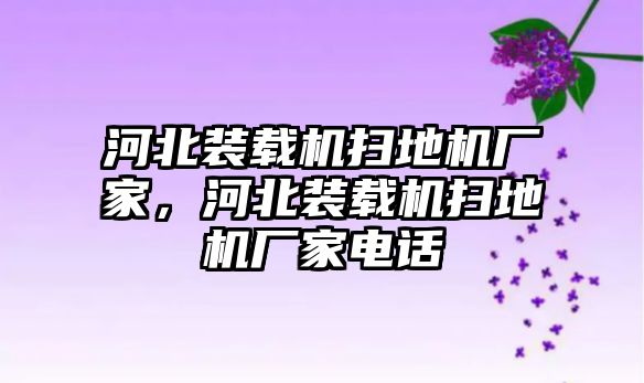 河北裝載機(jī)掃地機(jī)廠家，河北裝載機(jī)掃地機(jī)廠家電話