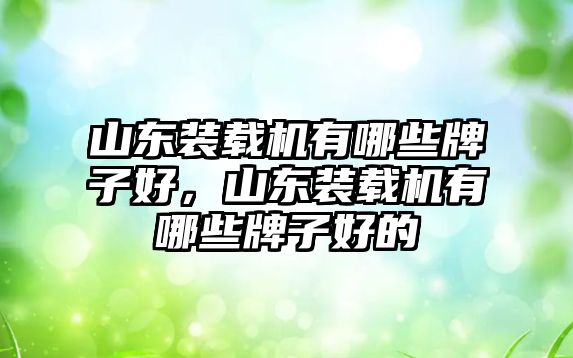 山東裝載機有哪些牌子好，山東裝載機有哪些牌子好的