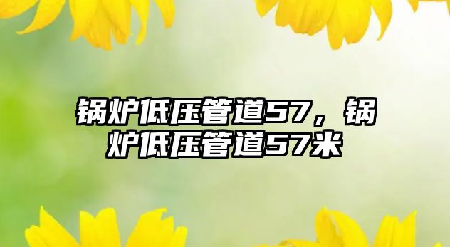 鍋爐低壓管道57，鍋爐低壓管道57米