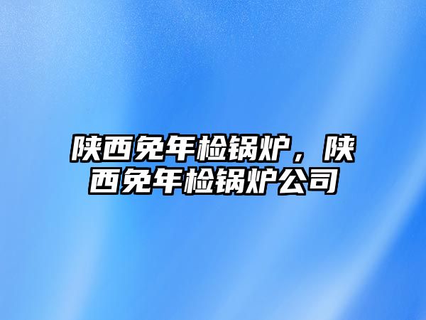 陜西免年檢鍋爐，陜西免年檢鍋爐公司