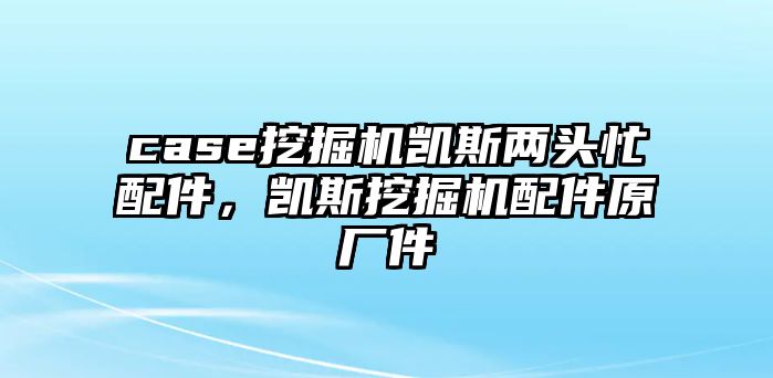 case挖掘機(jī)凱斯兩頭忙配件，凱斯挖掘機(jī)配件原廠件