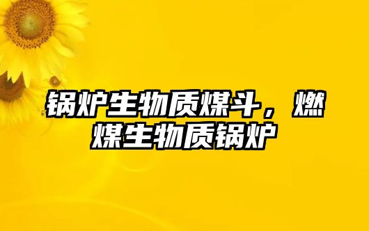 鍋爐生物質煤斗，燃煤生物質鍋爐