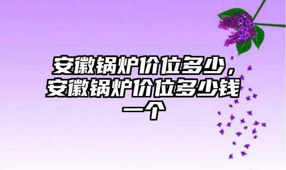 安徽鍋爐價(jià)位多少，安徽鍋爐價(jià)位多少錢一個(gè)