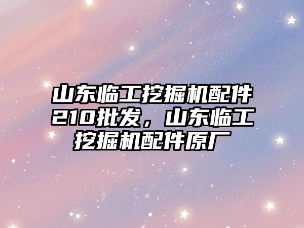 山東臨工挖掘機(jī)配件210批發(fā)，山東臨工挖掘機(jī)配件原廠