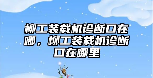 柳工裝載機診斷口在哪，柳工裝載機診斷口在哪里