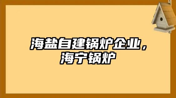 海鹽自建鍋爐企業(yè)，海寧鍋爐