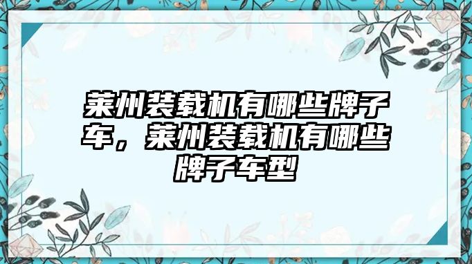 萊州裝載機(jī)有哪些牌子車，萊州裝載機(jī)有哪些牌子車型