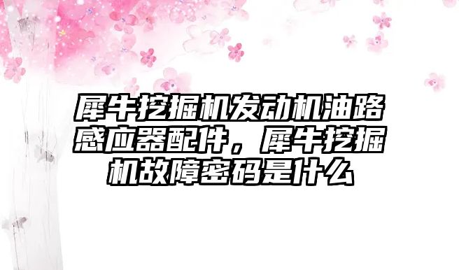 犀牛挖掘機發(fā)動機油路感應器配件，犀牛挖掘機故障密碼是什么