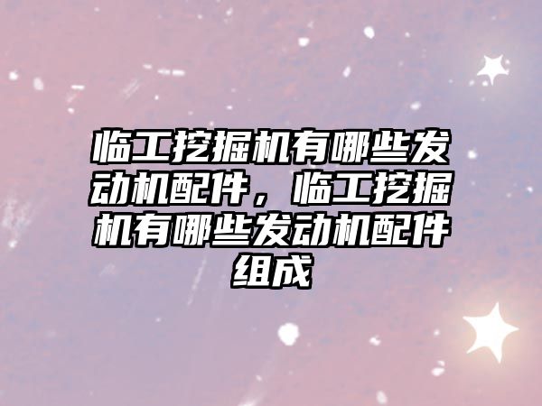 臨工挖掘機有哪些發(fā)動機配件，臨工挖掘機有哪些發(fā)動機配件組成