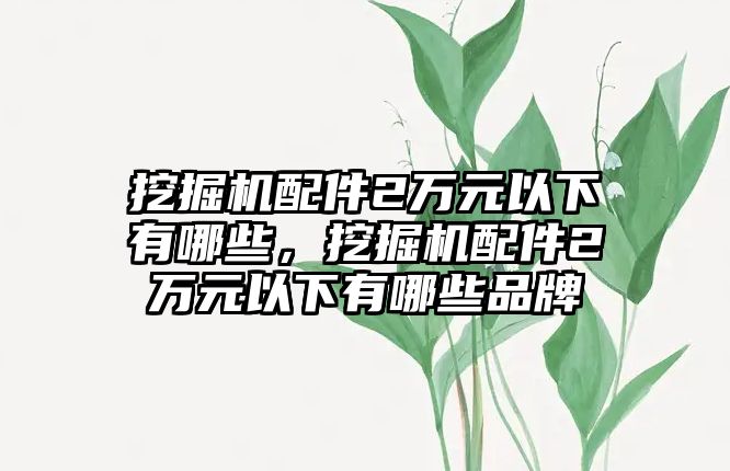 挖掘機(jī)配件2萬元以下有哪些，挖掘機(jī)配件2萬元以下有哪些品牌