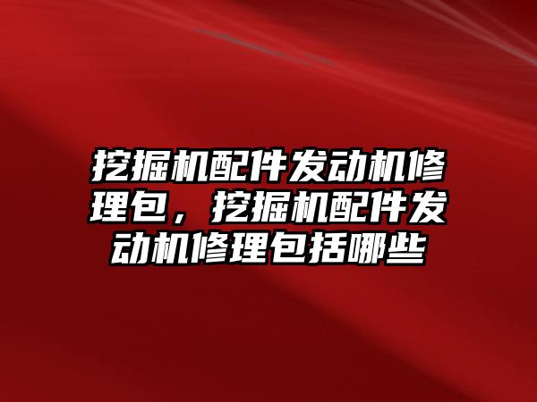 挖掘機配件發(fā)動機修理包，挖掘機配件發(fā)動機修理包括哪些