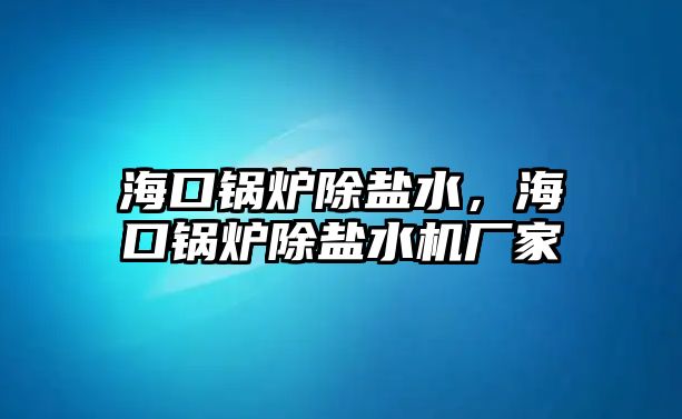 ?？阱仩t除鹽水，?？阱仩t除鹽水機廠家