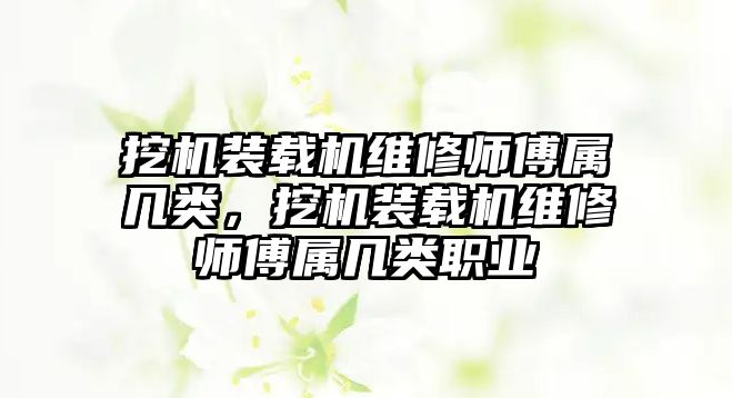 挖機裝載機維修師傅屬幾類，挖機裝載機維修師傅屬幾類職業(yè)