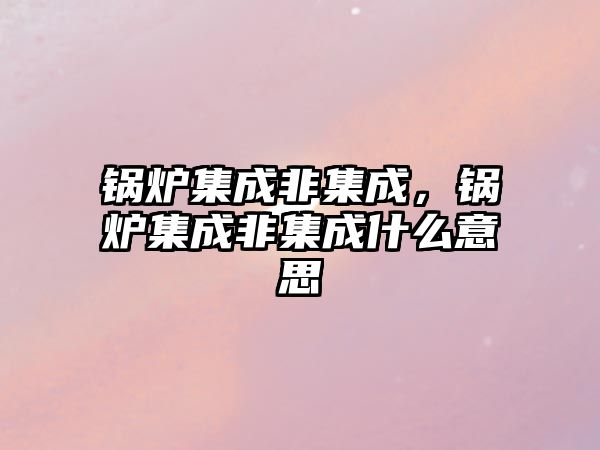 鍋爐集成非集成，鍋爐集成非集成什么意思