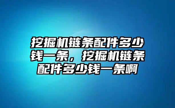 挖掘機(jī)鏈條配件多少錢一條，挖掘機(jī)鏈條配件多少錢一條啊