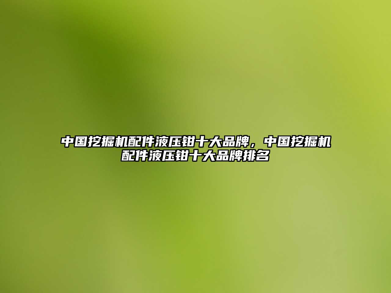 中國挖掘機配件液壓鉗十大品牌，中國挖掘機配件液壓鉗十大品牌排名